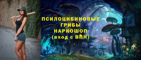 стафф Армянск